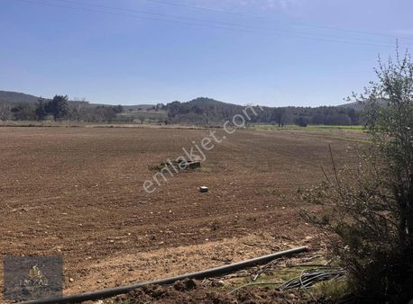 Çanakkale Merkez Köy Dümrek Yol Üzeri Yatırıma Uygun Tarla