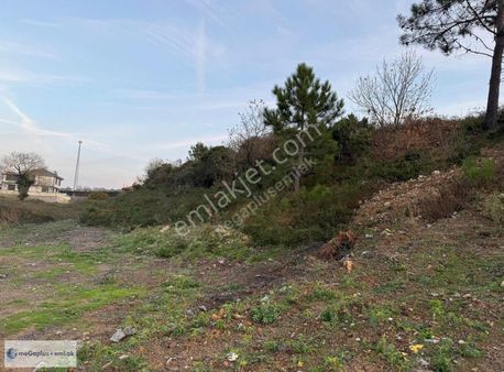 Şile Megaplus'tan Kurna Mahallesinde 632m2 Denize Yakın Arsa