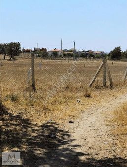 Silivri Büyükçavuşlu İmar Sınırında Satılık 6267 M2 Arazi