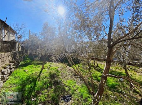 Akman Gayrimenkul'den Gördeste Satılık 2+1 Müstakil Ev