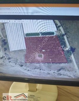 Antalya Kaş Dirgenler Mevkide Satılık Tarla Tamamı 8196metre Kare