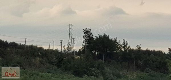 Cemal Emlak Bursa Mudanya Yörük Ali 1750 M2 Evi Olan Meyve Bahçe