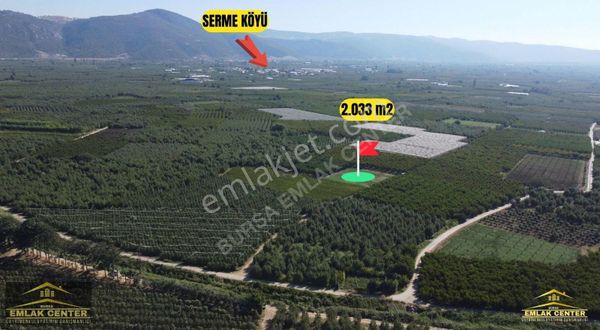 Kestel Serme De 2033 M2 Tek Tapu Tarla