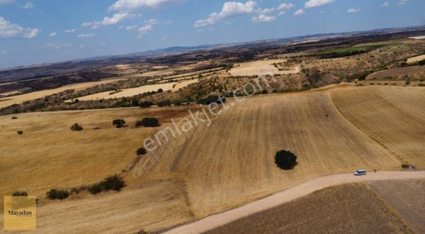 Mayadan Koyunbabada Satılık Verimli Arazi