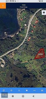 Perşembe Çaytepe Mevkiinde Sahile Yakın Fındık Bahçesi