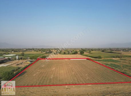 Antika Gayrimenkulden Asfalta Sıfır Satılık Tarla