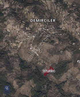 Milas Demirciler'de Fırsat Fiyata 4.5 Dönüm Zeytinlik