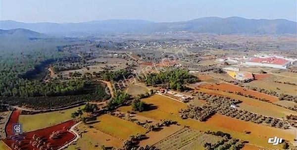 Bodrum Mumcular Karaova Satılık Tarla