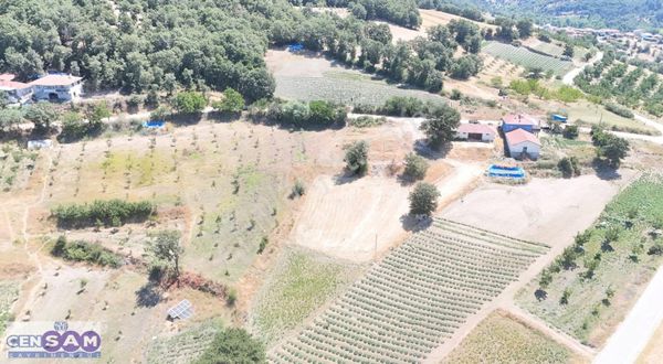 Manisa Demirci 'de 709 M2 Yerleşim İçinde Asfalt Kenarı Bahçe