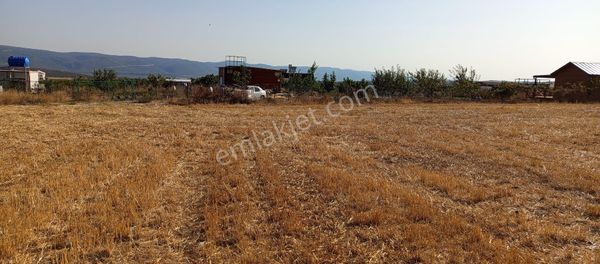 Bursa Nilüfer Çatalağıl Mahallesi Satılık 6100 Mt2 Tarla