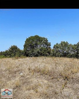 Duhan Emlaktan Safran Köyün De Satılık 2.627 M2 Tarla