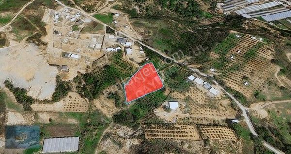 Aksu Çalkaya Da 1900 M2 Tarla