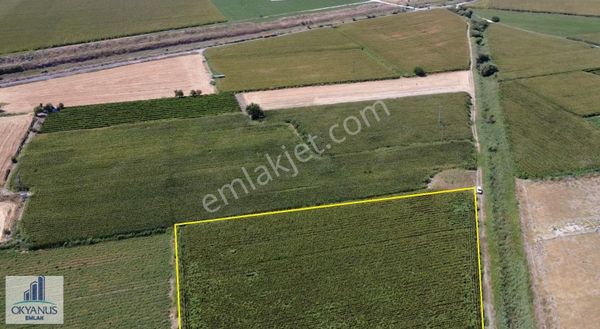 Üçpınar Da 6.155 M2 , Tek Tapu , 2.150 M2 Ekstra Kullanım Alanı