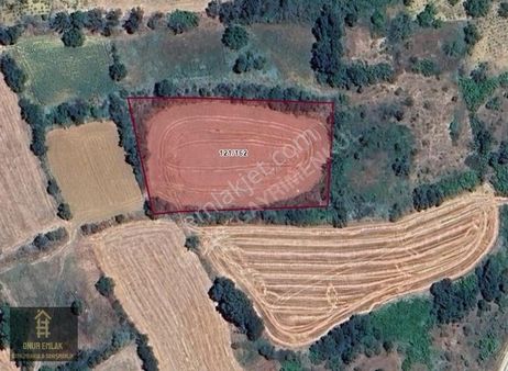 Malkara Müstecep'te Müstakil Tapu Satılık Bağ Yeri 3920 M2