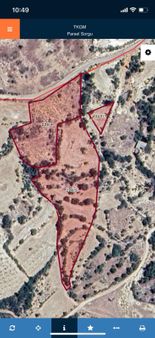 Gulnar Kuskan Yerlesim Alanina Yakin Tarla