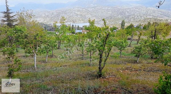 Güney,den Satılık Arslanköy Merkezde Elma Bahcesi