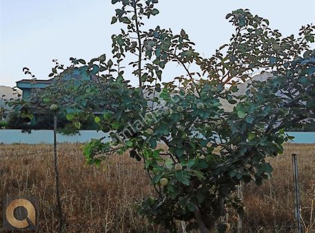 Döşemealtı Bademağacı Cadde Üzeri Yerleşim Yerinde 400m2 Arsa