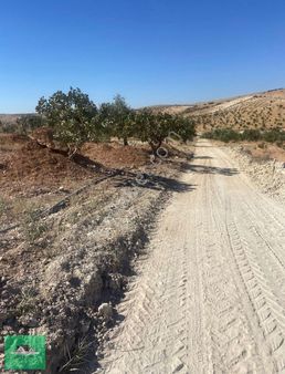 Nizip Kocatepede (zeytinyağı Üretim Tesisi İçin) Satılık Arazi