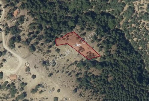 Balıkesir Burhaniye Yaylacık Mahallesi Satılık 2632 M2 Tarla