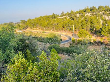 Türe Gayrimenkulden Silifke Çadırlı Bağcağız Mahallesinde Satılık Tarla