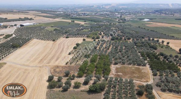 Bandırma Doğa Mahallesinde 2530 M² Satılık Arazi