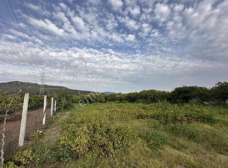 İzmir Seferihisar Orhanlı Da Satılık 3348 M2 Tarla Tek Tapu