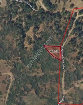 Yeşilyayla 691m2 Tel Örgüyle Çevrili Ceviz Bahçesi