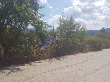 Kazdağları Örencik Bahçe Tapulu Anayola Sıfır