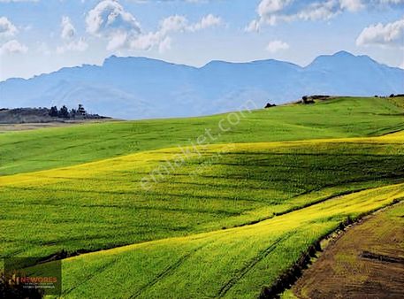 Mudurnu'da Satılık Tarla