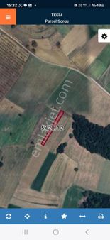 Sakarya Adapazarı Satılık Tarla