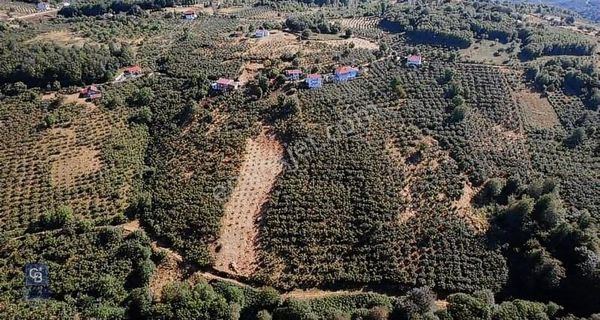 Atakum Kayagüneyde Harika Panoromik Deniz Manzaralı Fırsat Arsa