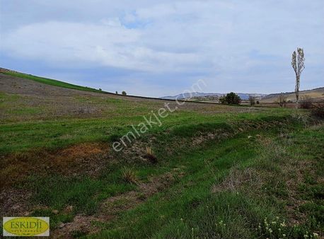 Eskidjiden Bilecik Yenipazar Çötede 8407 M2 Satılık Tarla