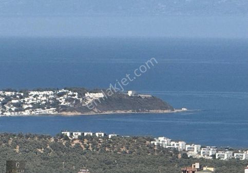 Ful Deniz Manzarası İsteyenlere Zeytinlik