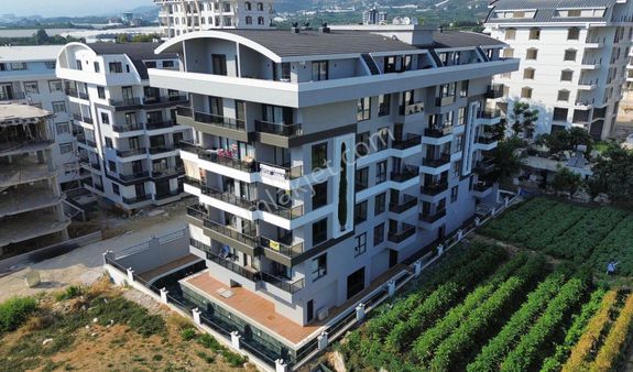 Kiralık 1+1 Daire