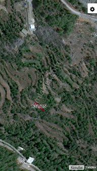 Trent Emlaktan Gündoğmuşta Satılık Bahçe