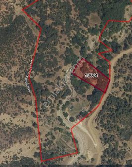 Denizli Yeşilyayla’da 4550m2 Yeşillikler İçinde Yetişkin Ağaçları Olan Doğal Satılık Ortam