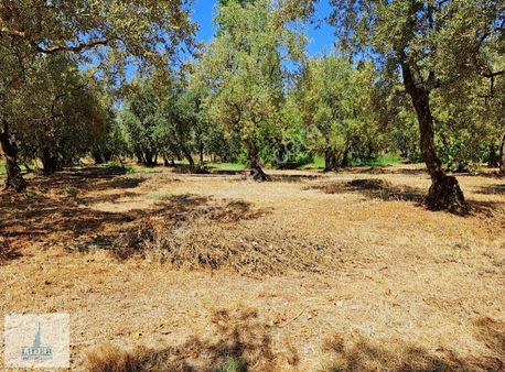 Bursa Orhangazi Sölöz Mah.3 Kat Konut İmarlı Doğayla İç İçe Arsa