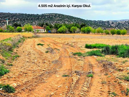 Uşak Karahallı Kavaklı'da %40 İmarda 4505 M2 Köy İçi Çok Uygun Bağ. Açıklamayı Okuyarak Arayınız.