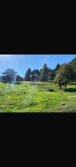 Toroslar Yavca Yaylasinda Satlik Tarla