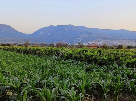 Yağcılar Da Satılık 870 Metre Tek Tapu Tarla Acil Satılık
