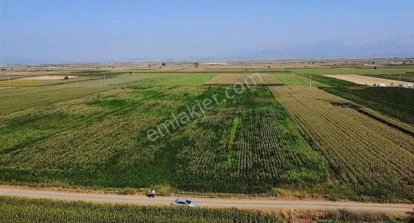 Solmaz Mahallesinde Satılık Tarlalar