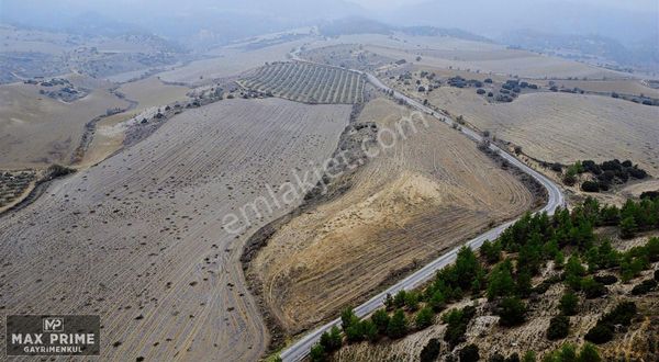 Max Prıme | Sarayköy'de Otobana Yakın 29.736 M² Fırsat Arazi