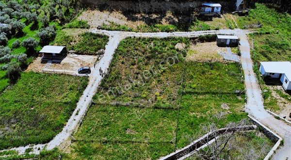 Kemalpaşa Yukarıkızılca Da Acil Satılık Fırsat Bahçe!!!