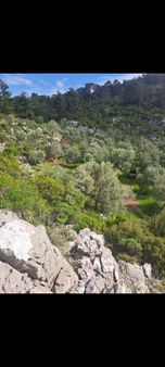 Kızılkaya Köyünde Satılık Tarla