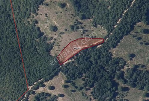 Çanakkale Yenice Karadoru Yola Cephe 2551 M2 Müstakil Parsel