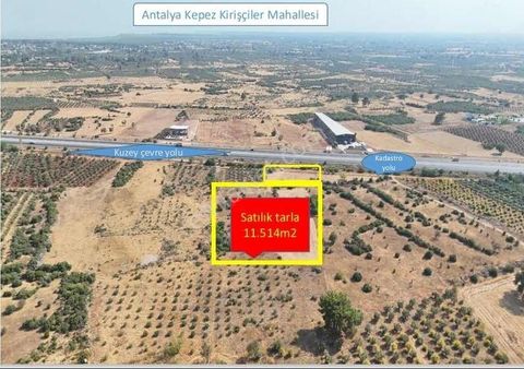 Kuzey Çevre Yoluna Cephe Tek Tapu 11.514m2 Satılık Tarla