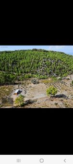 Dalaman Kızılkaya Köyünde Satılık Tarla