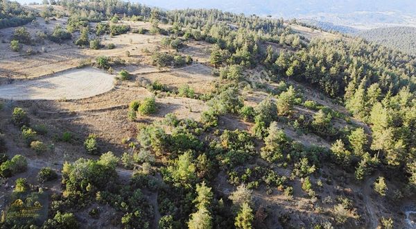 Bölgenin En Uygunu! 2,570 M2 Tamamı 75.000tl