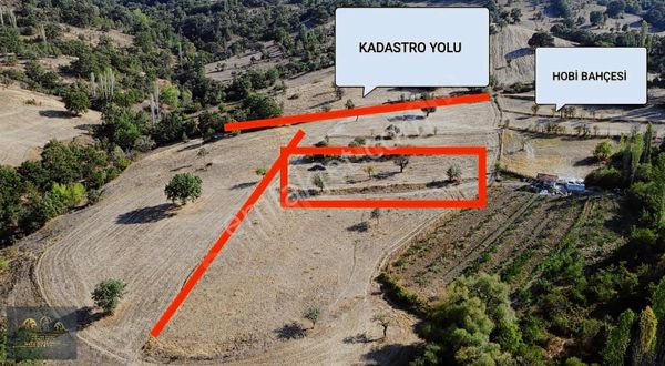 Araç İle Ulaşım İmkanı, 1,568 M2 Hobi Bahçesi.sadece 125.000tl.
