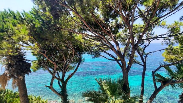 Kuşadası Seçkin Sitesinde Denize Sıfır 1+1 Satılık Daire